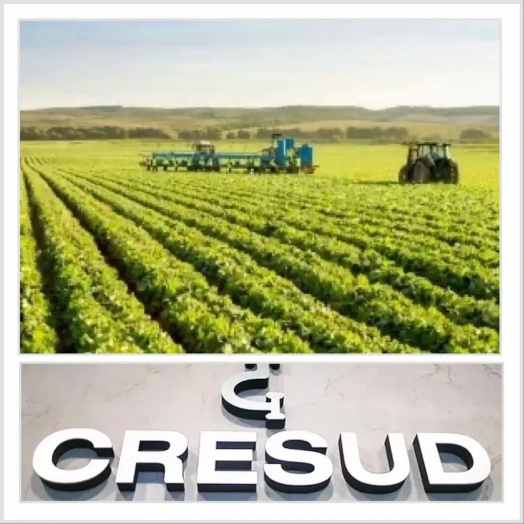 Cuándo paga dividendos Cresud